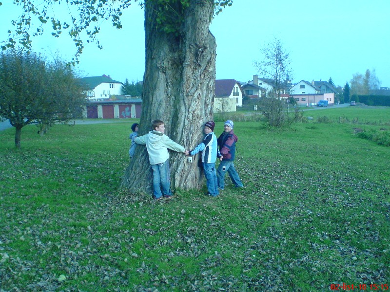 2.11.2010 Zavináč (5)