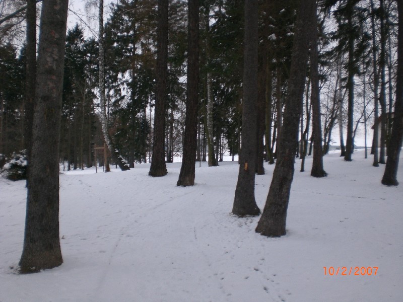 Zavináč 30.11.2010 (51)