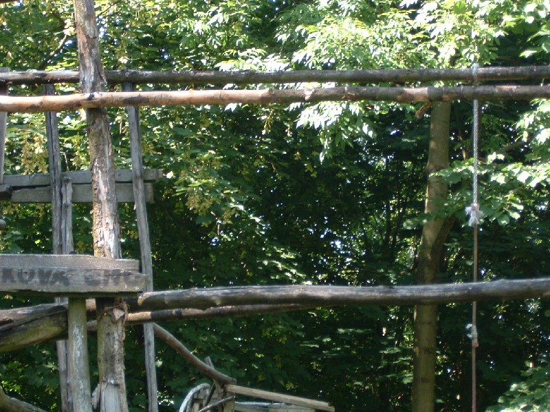DSCF0161